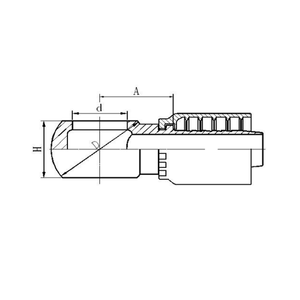 Female Bsp One Piece Elbow Fittings Buy Female Bsp One Piece Couplings Elbow Stainless Steel